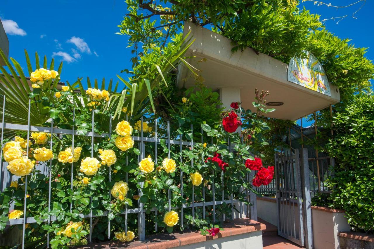 Agliana Bed & Breakfast Profumo D'Estate מראה חיצוני תמונה